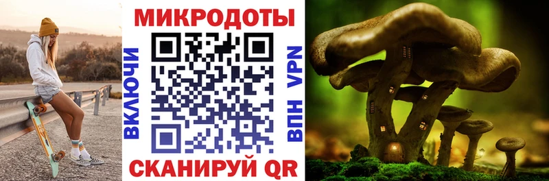 Галлюциногенные грибы Psilocybine cubensis  как найти закладки  Белебей 